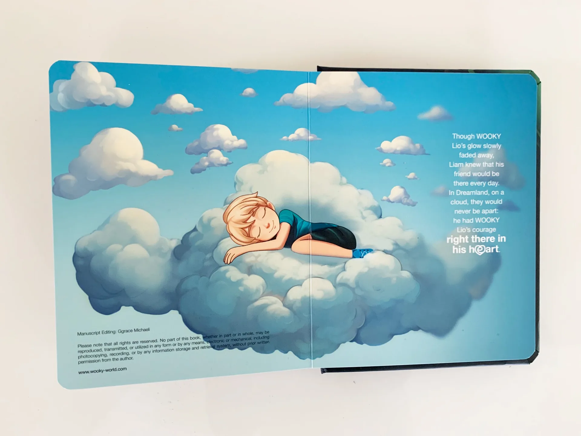 The final cloud scene in the WOOKY book